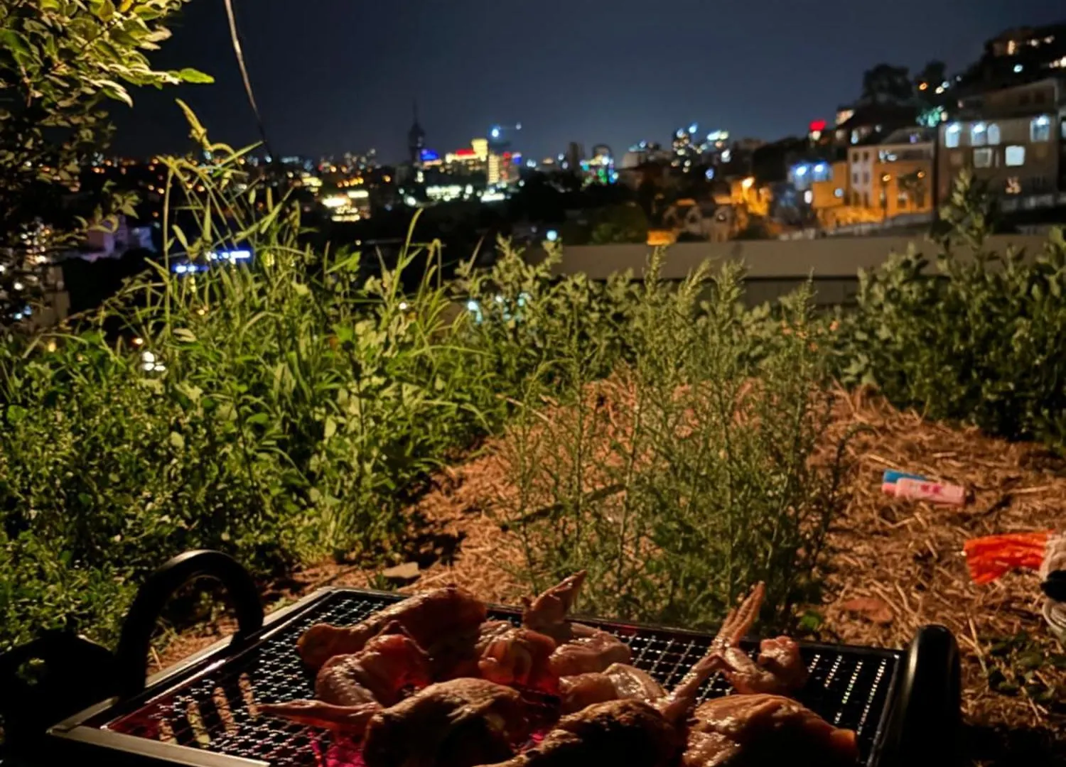 Mirzahouse Villa Tbilisi 0*,  Georgia