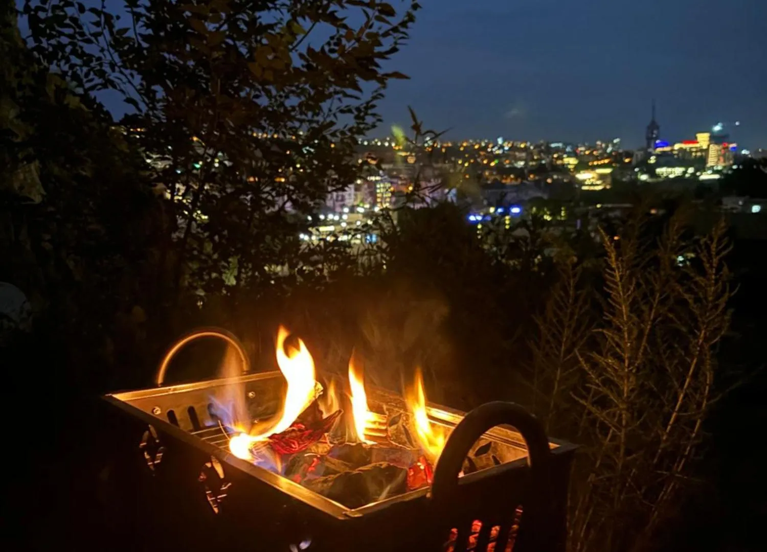 Mirzahouse Villa Tbilisi Holiday home